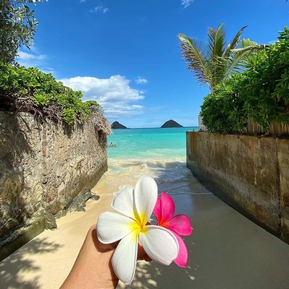 Meet your Posher, Connie - Picture 1 of 1